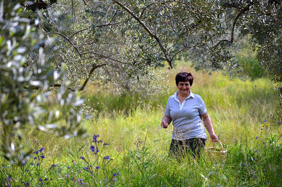 Horta – edible wild greens - Katerina's Kouzina - Odyssey Poros