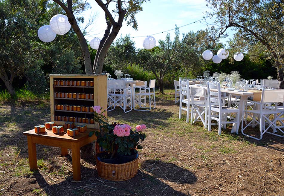 Mythical wedding on the olive farm