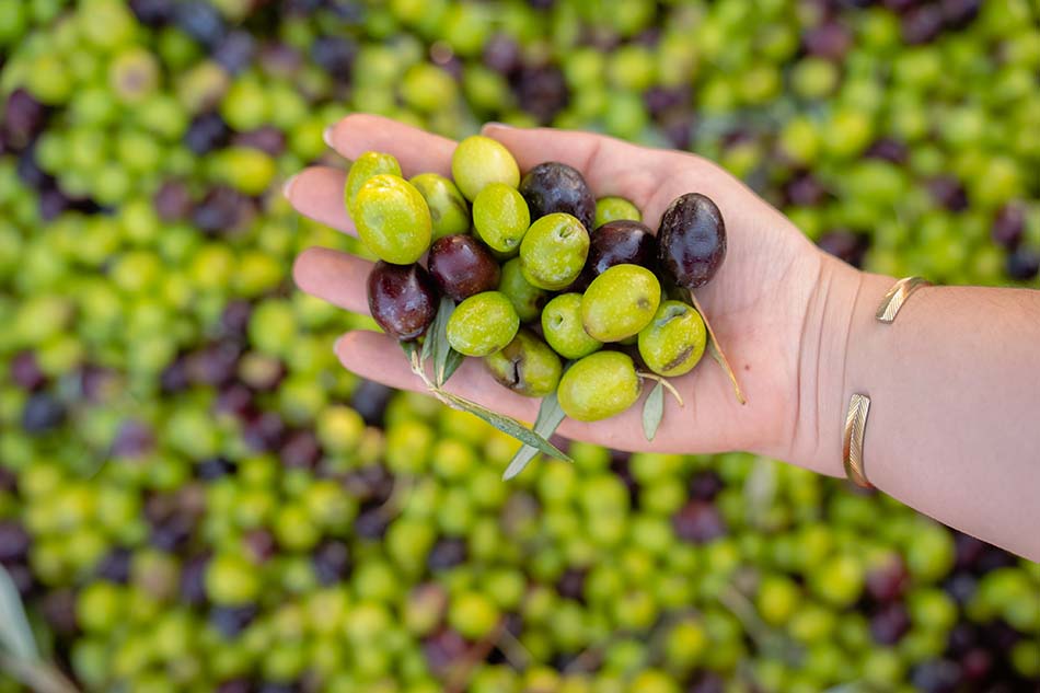 The LALERI Food Festival Expands to a Three-Day Culinary Celebration!