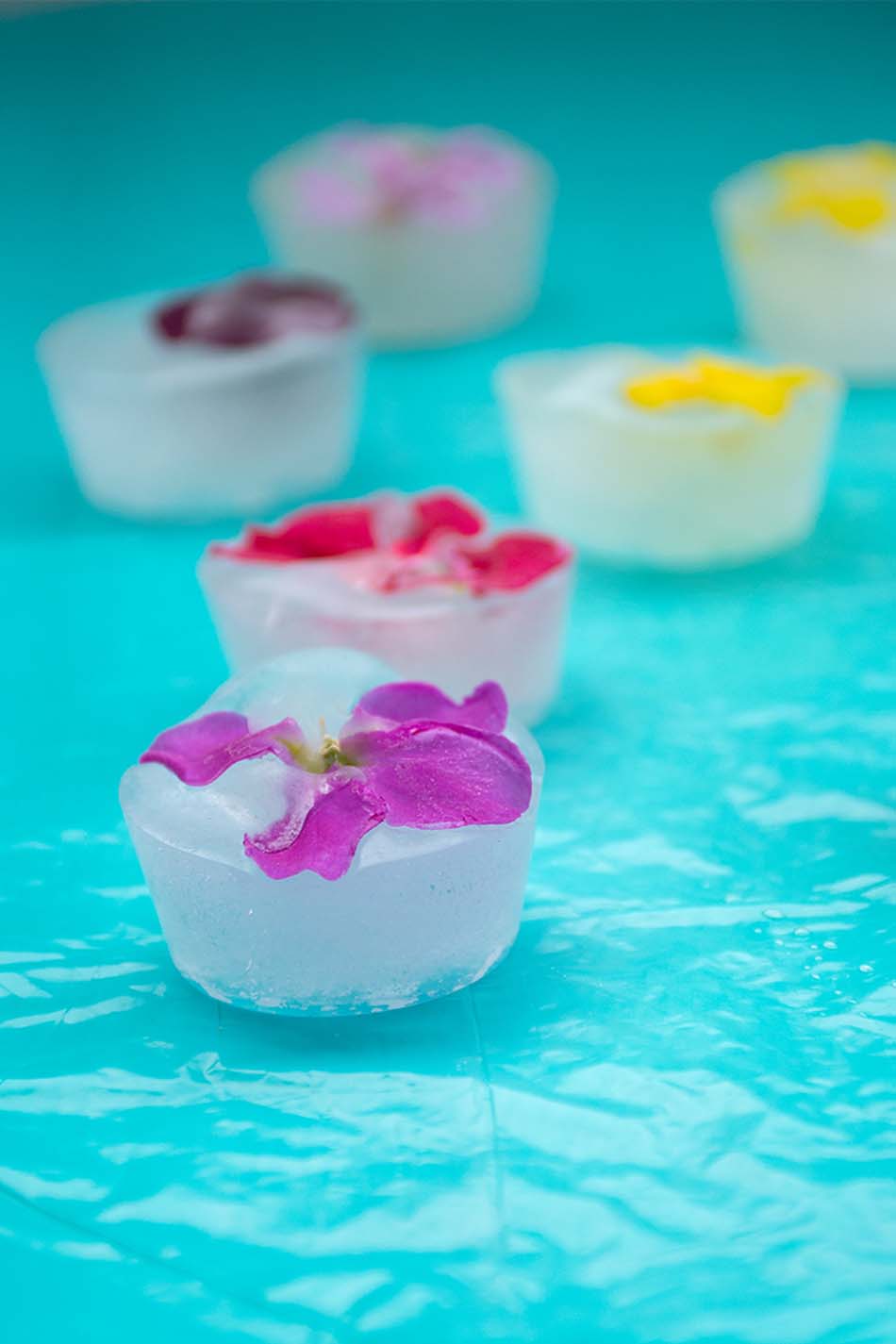Ice cubes with edible flowers