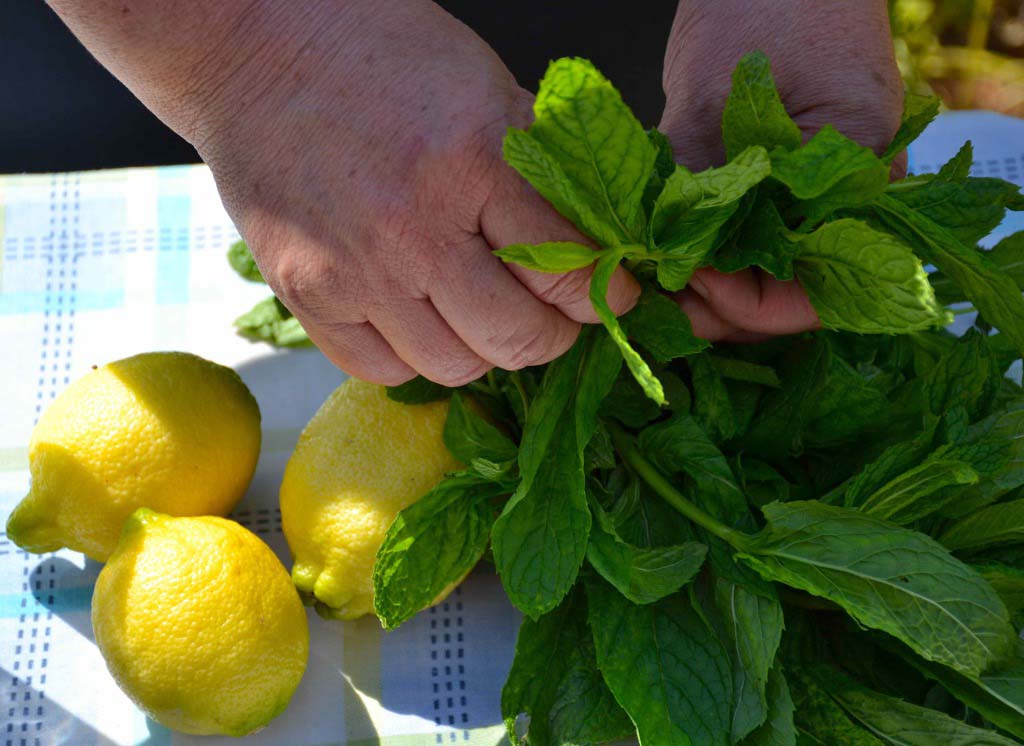 Refreshing lemon and mint drink