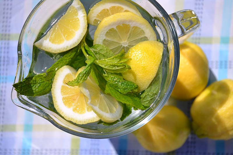 Refreshing lemon and mint drink - Katerina's Kouzina